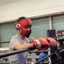 인천복싱클럽 이미지