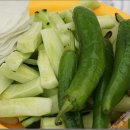 영월 동강오토캠핑장 Daum카페