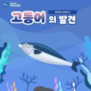 풍부한 오메가3 고등어의 발견 이미지