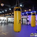 장관식복싱GYM 이미지