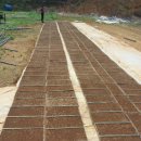 원두골농장 이미지