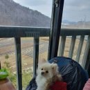 황토골3 이미지