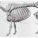 명인갈비(미아점) 이미지