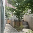 정릉곤드레밥 이미지