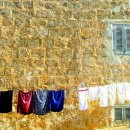 봄날세탁 이미지