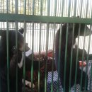 한국농수산대학교 이미지