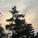 일마레변산리조트(A동) | 전북 부안 소노벨 변산 리조트 패밀리 스탠다드 침대 숙박 솔직후기입니다 :) [오션플레이No추천]