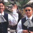 더솔리드 이미지