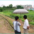 충북도교육청 맹꽁이 보존대책 추진 (충청타임즈 2010.7.18.) 이미지