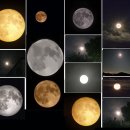 블루문(BlueMoon) 이미지