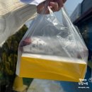 나루터분식 | 여주아울렛 주변 맛집 나루터김밥 생활의달인 김밥맛집 내돈내산