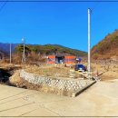 백두농장 이미지