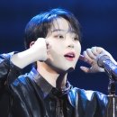 플레로마 티스토리