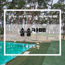 부안 아이랑 갈만한 곳 숲체험 솔솔카페