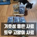 개밥주는고양이 | [15살 노령묘 토우사료 토우고양이사료 기호성좋은사료] 땅콩이가 먹은 고양이사료추천