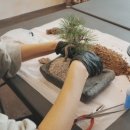 해송가든 이미지