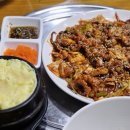 이미견 밥엔 낙지볶음 이미지
