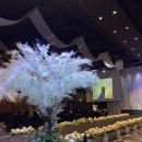 호텔탑스텐 이미지