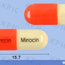 화이트필의원 이미지