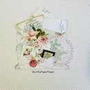Liz The Paper Project12 이미지