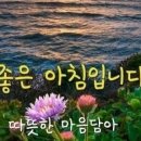 창이 행정사 사무소 이미지