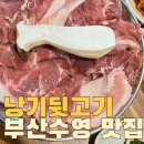 낭기뒷고기수영