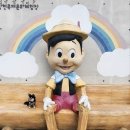 [애견동반] 경남 합천 가볼만한 곳 | 합천 영상테마파크