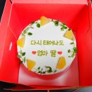 [공주맛집]공주대&#34;쿳카&#34;레터링케이크 생일케이크 미친높이 기념일 과일듬뿍 주문제작 수제디저트