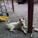 다모아민박 이미지