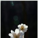 행복그자리 이미지