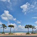 씨유포항송도해변점 | 포항송도맛집 해물대장 송도점 특미물회 찐 후기