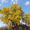 통합차량 정차구역 우측 | 행정수도 완성의 밝은 미래를 보다…대통령세종집무실 부지·국가상징구역 탐방