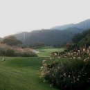 노스팜 컨트리클럽 이미지