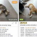 매일동물병원 네이버블로그