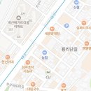 서울앵무새 연구소 이미지