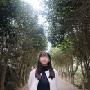 포레스트선흘