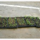 이화농원 이미지