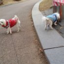 아람이네 이미지