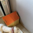 어서오시개냥 애견펜션 이미지