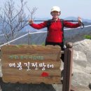 들꽃따라