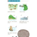 삼별초(Sambyeolcho) 이미지