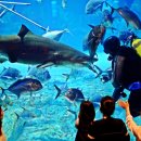 스탠포드호텔 부산 이미지