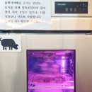 돌멩이캠핑바베큐 이미지