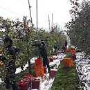 소보면 행정복지센터 이미지