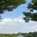 여름을 보내며