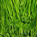 알뜰농장 이미지