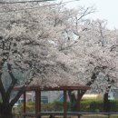 행안초등학교 이미지