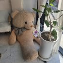 댕댕 shop(샵) | 청주, 산남동마사지 솔직후기, 뭉친 근육 다 풀고 온