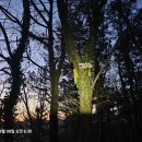 열가재제2주유소 이미지