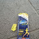 K | 서울K마라톤 후기(특징, 준비물 등)